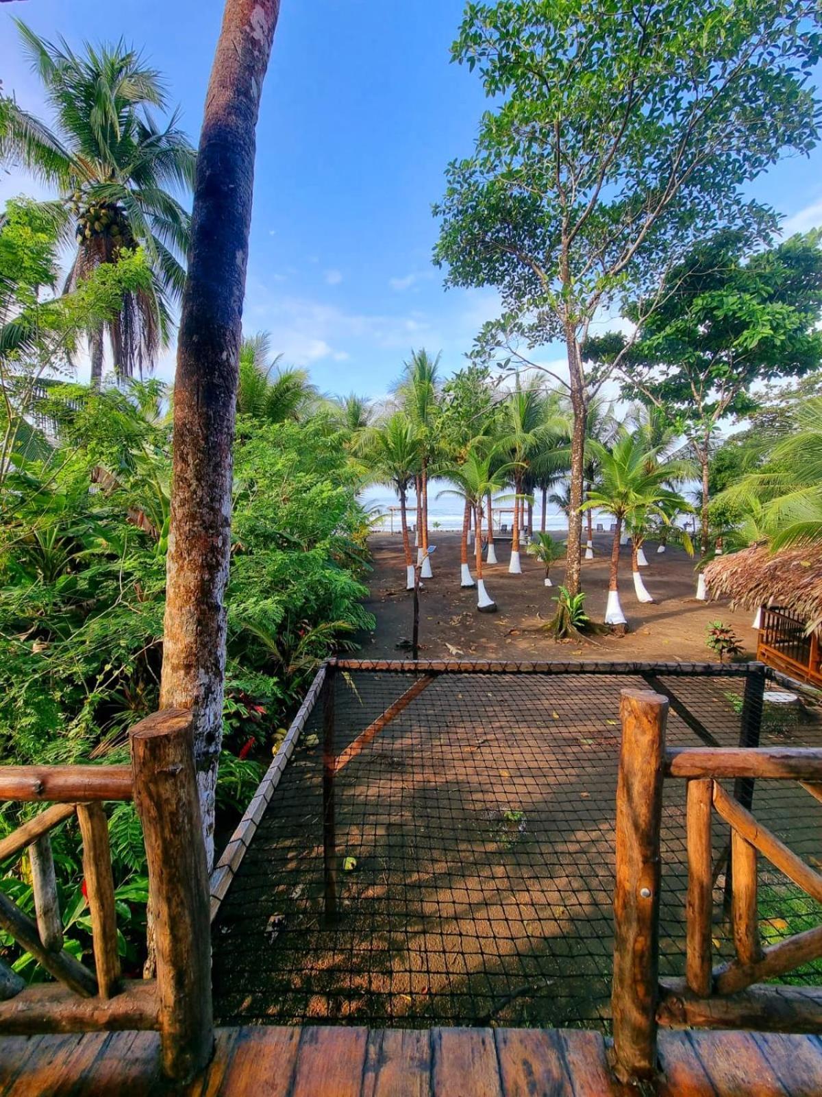 Tortuga Bay Eco Hotel El Valle  Quarto foto